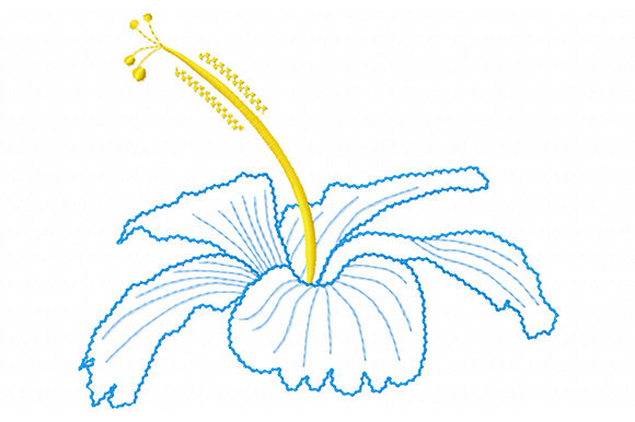 Charming Hibiscus: A Tropical Delight for Craft Fairs