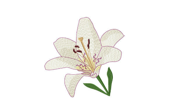 Elegant White Tiger Lily for Boutique Apparel