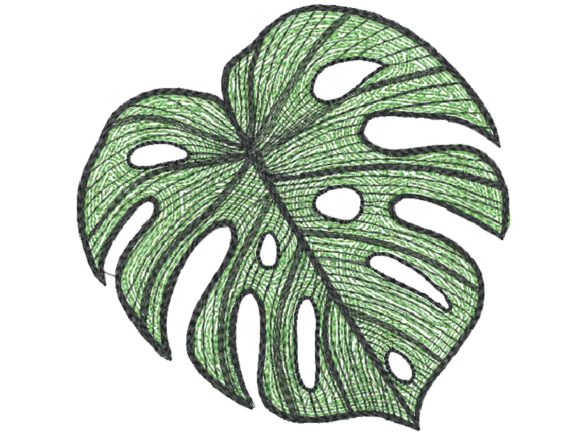 Elephant Ear Leaf: A Fresh and Vibrant Design