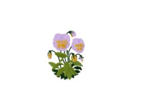 Pansy: A Charming Addition to Your Sweatshirt Line