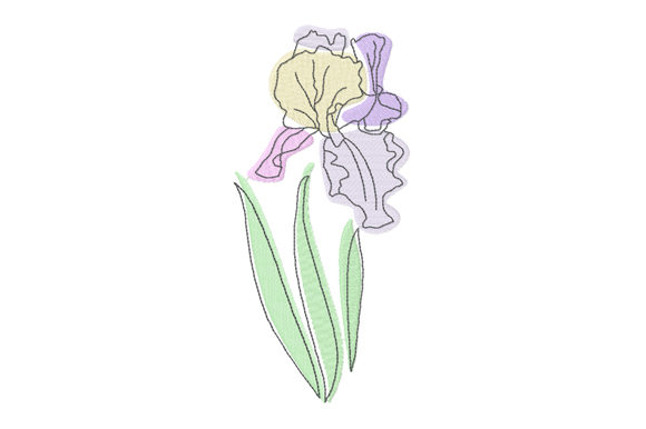 Pastel and Line Art Iris Flower Embroidery