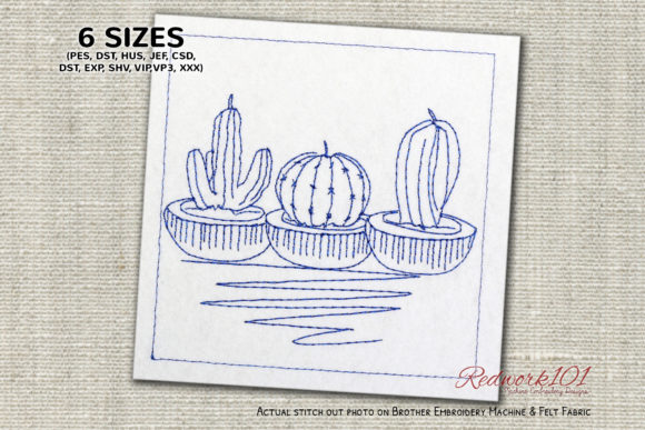 Review: Three Types of Cactus Plant Redwork