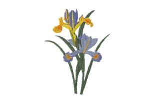 Reviewing Iris Beauty for Business Embroidery