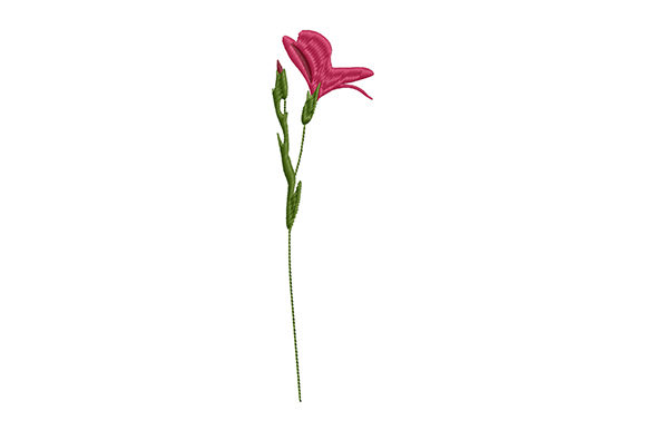 Wild Flower on a Thin Stem: A Delicate Touch